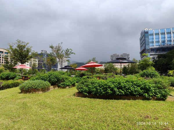 《撫順公園、臺北廣播電臺、臺北市立美術館、圓山別邸、大直美麗華、三峽、木柵、士林、大港墘公園》趴趴走2628661