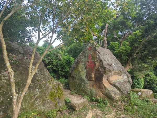 2025.10.05－南觀音山步道2908100