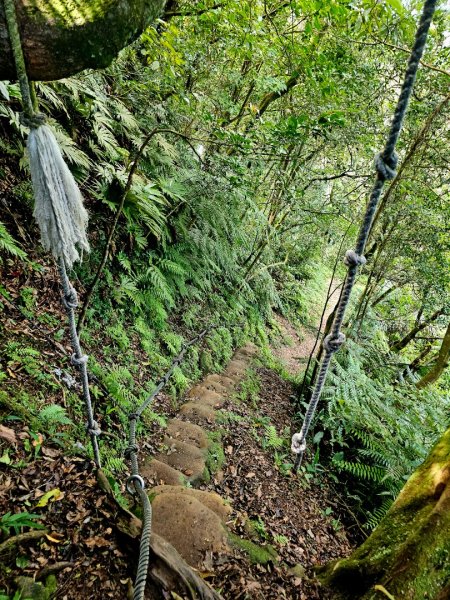 (二格山系)筆架連峰-2025微笑山線大縱走尋寶集章任務2866370