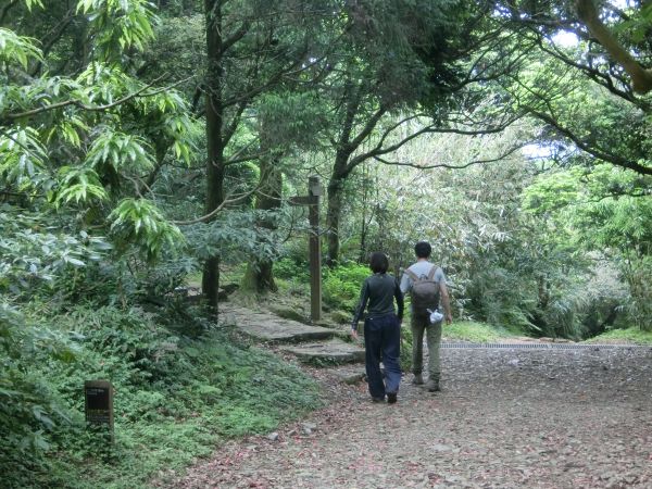 面天山．向天山．向天池316074