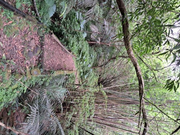 淡蘭中路第四段：威惠廟到灣潭古道登山口3104488
