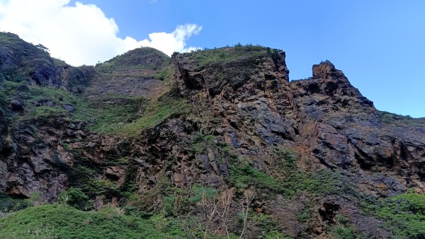 找一個晴天去爬山~金瓜石芒花之旅2962419