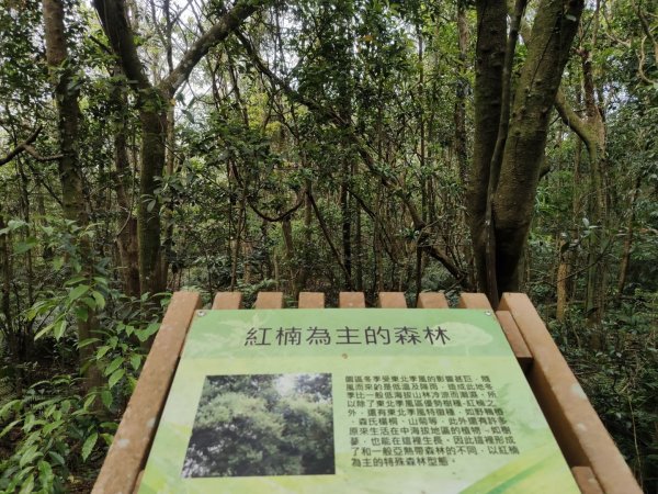 1140404大崙頭山親山步道3100015