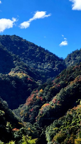 霞克羅古道1553118