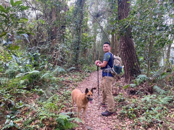 望鄉部落.獵人古道.望美山.瓊山【人與自然山林的恩怨情仇】2731409