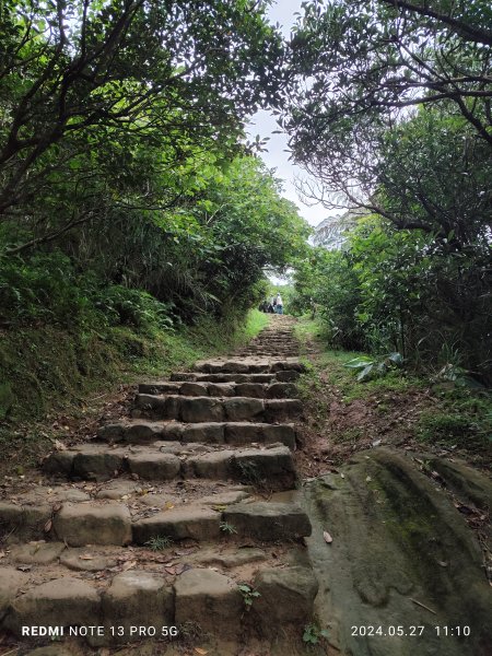 南子吝登山步道【踢不爛大地遊戲】2513433