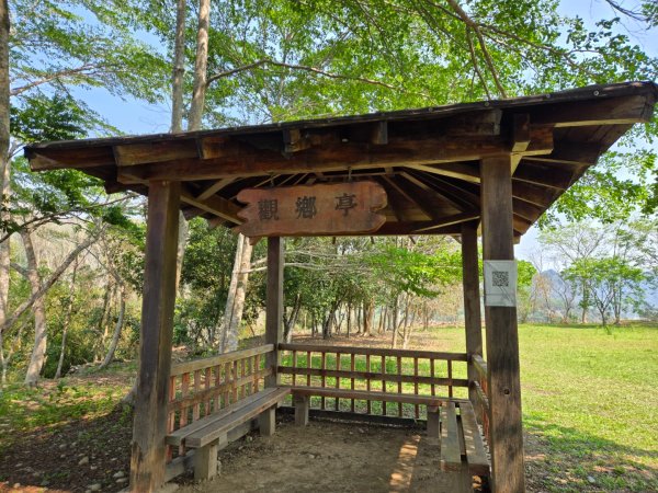 350高地、阿凰臘森林步道3033483