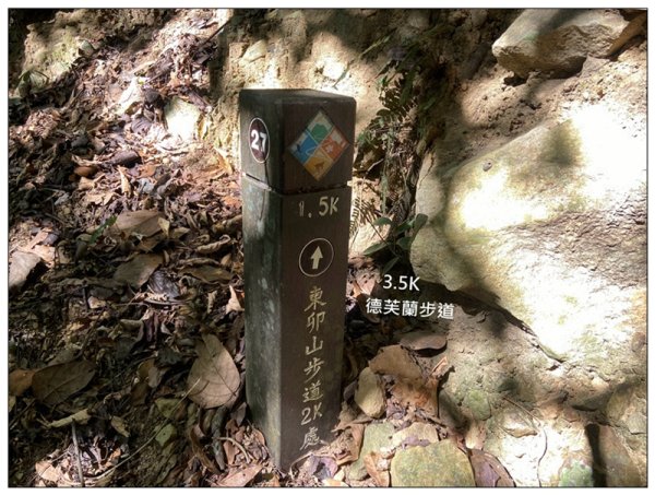 東卯山、東卯山西峰、東卯山西南峰 連走2932834