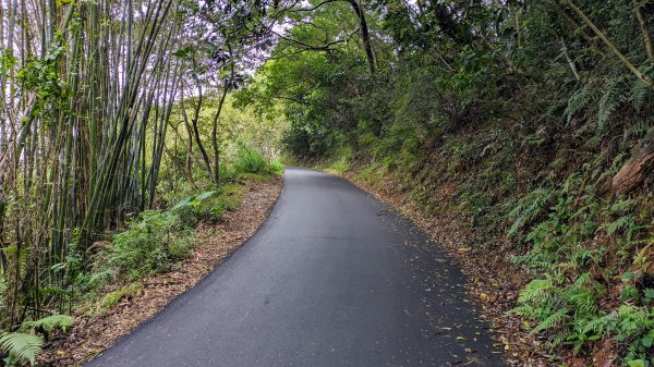 老公崎步道,新林步道2443940