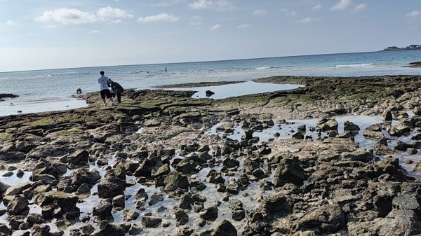 韓國濟州島：挟才海水浴場2912168