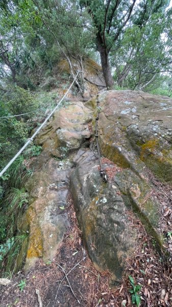微笑山⛰️線-大棟-二格山-五分山-天上山-鳶山💎12條步道完成💙2834180