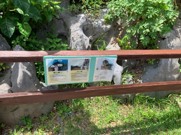 大石林山672542