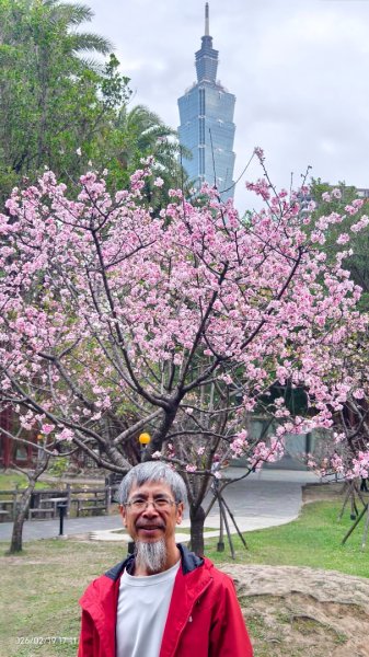 #虎山  #101大樓  #國父紀念館 #河津櫻 #中正紀念堂 2/193002693