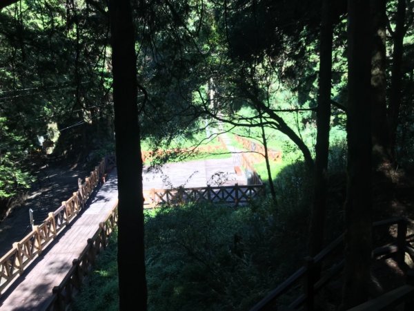 阿里山雙峰大塔山對高岳連走451426