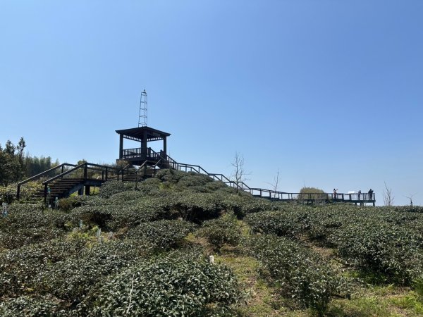 溪頭六連峰O繞2741739