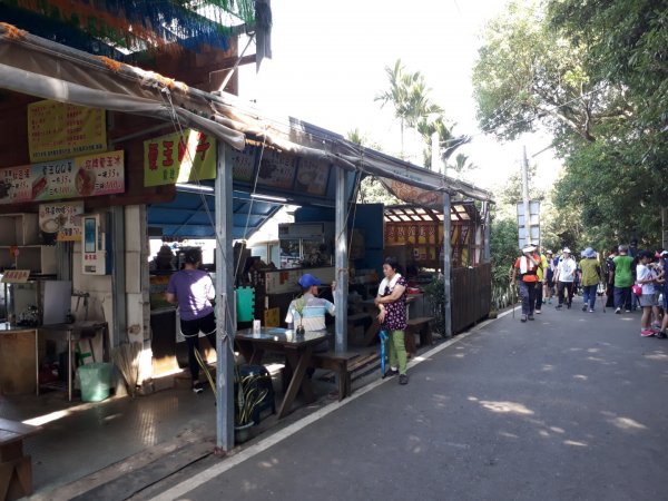 彰化員林臥龍坡環藤山步道20190714629484