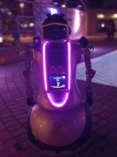 台灣燈會在台北 - 內湖大港墘公園閉幕式表演【齊心鞋力向前走】2038932