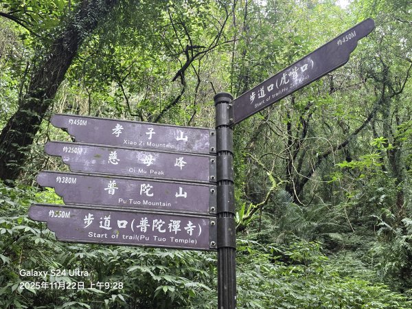 2025-11-22微笑山線：【五分山系】平溪小黃山段2943284