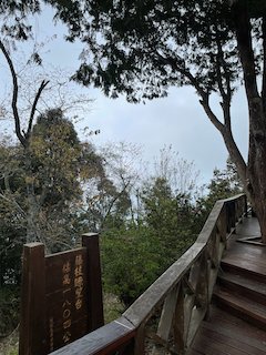 藤枝國家森林公園半日遊1631214