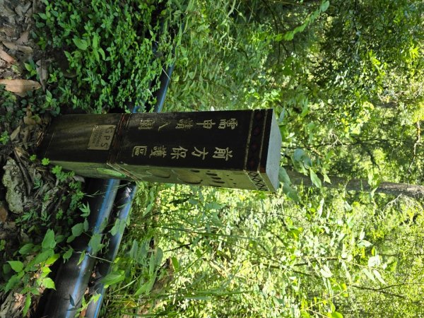 志佳陽大山（回程走高繞環山獵人登山步道）2542273