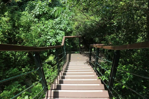 〔花蓮〕布洛灣吊橋+伊達斯步道+環流丘步道。一次走好走滿的布洛灣壯麗景觀步道2266341