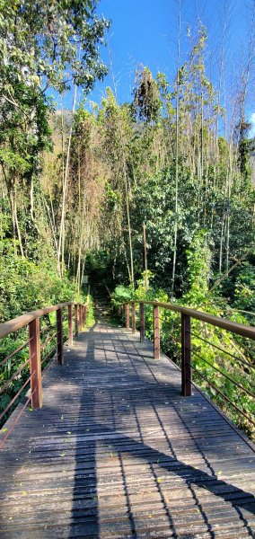 2025-01-30迷糊步道2704448