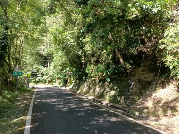 雙溪區中坑東山去回+林厝前荷花2877643