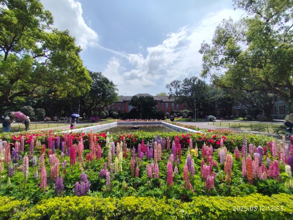 內湖運動中心→勞工保險局→南門市場→台灣電力公司→國立臺灣大學