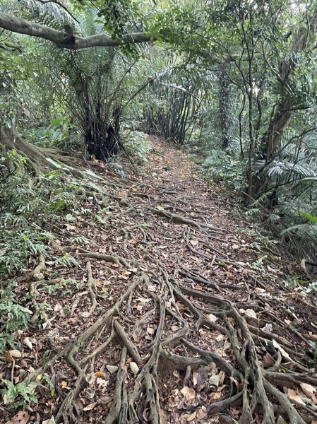 淡蘭古道南路第一段2596213