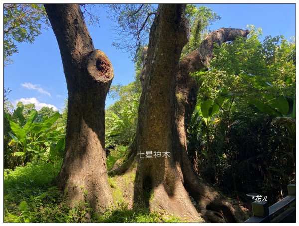 六寮山、獅頭山、獅尾山連走2611213