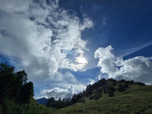 志佳陽大山（回程走高繞環山獵人登山步道）2542191