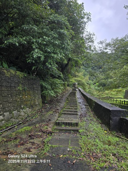2025-11-22微笑山線：【五分山系】平溪小黃山段2943278