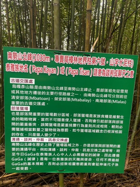 烏嘎彥竹林步道.馬都安古道【因為堅持 所以更顯珍貴】2064468