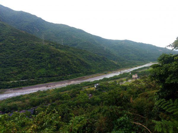 林田山文化園區 森坂步道934465