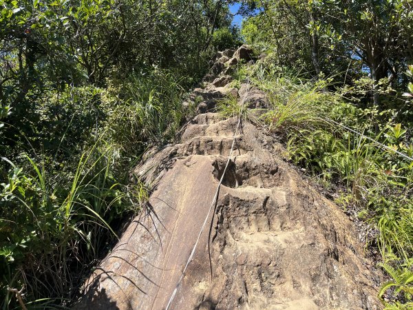 [微笑山線_第九段] 2025_0914 二格山系_天王峰2889567