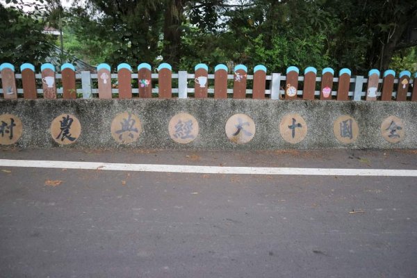 〔南投魚池〕澀水森林環狀步道，田頂步道。我真的走入侏儸紀公園裡！！！原來摸黑下山是這種感覺！！！2264286