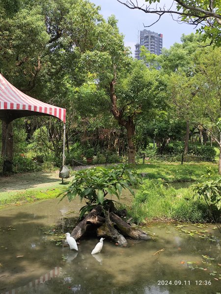 前港公園、大安森林公園、大港墘公園【走路趣尋寶】【臺北健走趣】2591732