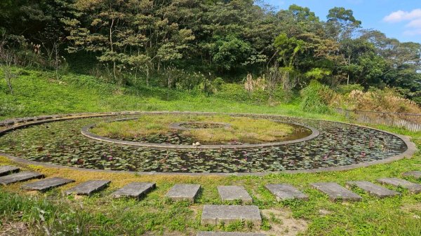 20260110楊梅福人步道-老坑山-保甲古道-東森山林步道-小楊梅步道-秀才步道茶園段2982032