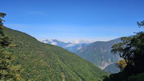 【被遺忘的南橫仙境】中之關、天池步道O繞10K2798184