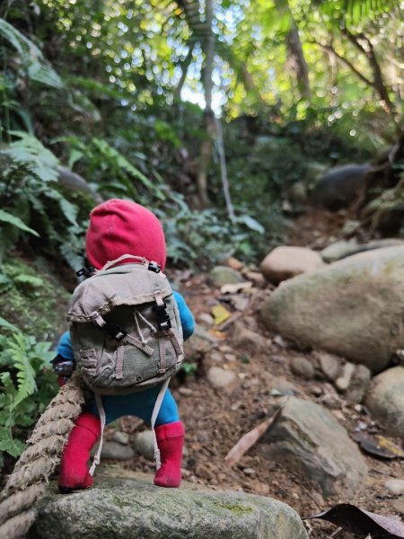 2023.11.01 蓮華山古道群2489004