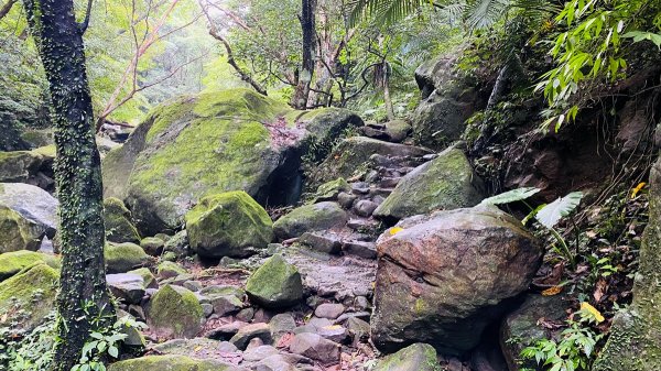 新北石門|老梅溪青山瀑布步道|台版奧入瀨溪|夏日消暑秘境|清涼親子景點1975464