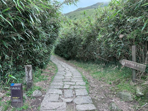 台北大縱走第三段2786882