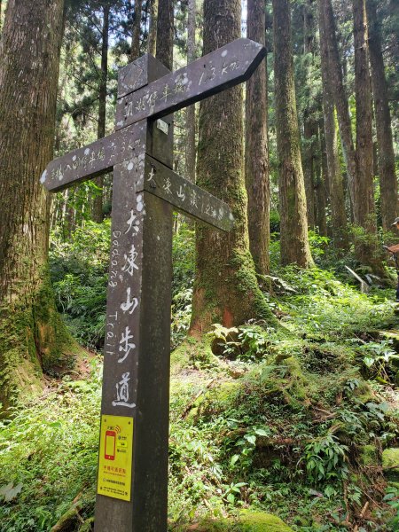 【嘉義|大凍山】多林-頂湖走1010186