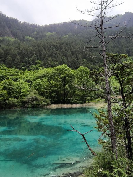 【海外健行】在山海與古都間，一半人間煙火，一半天上霓虹。3071561