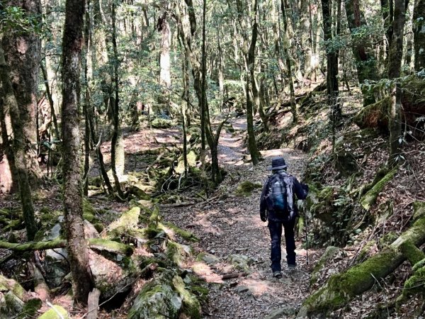 船型山環走大雪山210林道2978038