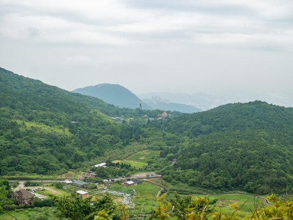 【行腳陽明山】初夏裡蒼翠欲滴的環七星山與百拉卡公路人車分道2188673