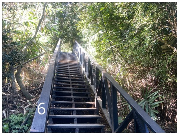 軍功寮山、大坑9、7、6、9-1步道 O型一圈2950801