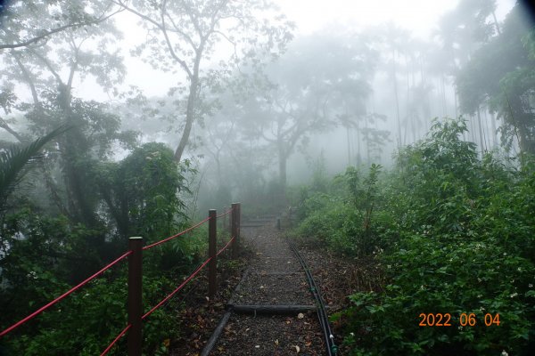 嘉義 竹崎 阿拔泉山1731240