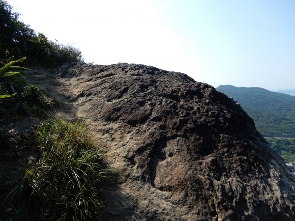 20180731_ 海興步道/大武崙山375585