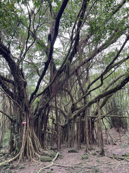 雪山尾稜北段2728642